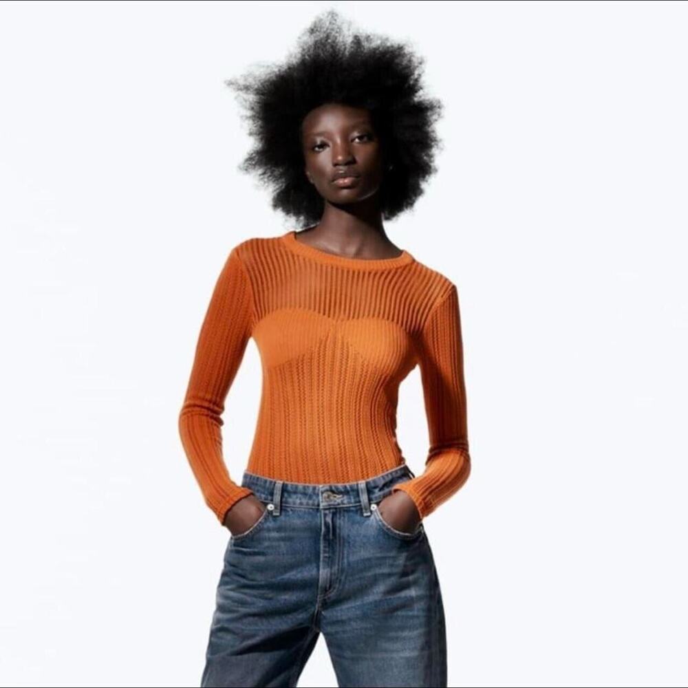 Zara Crochet Ribbed Long Sleeve Round Neck Sweater See Through L Burnt Orange